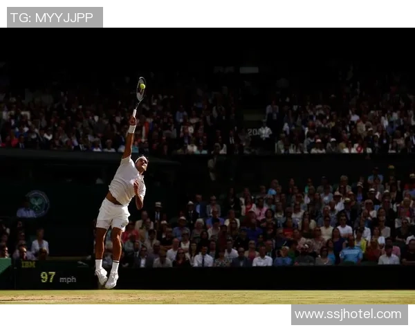 费德勒与伯蒂奇在2017温网的经典对决回顾与精彩瞬间分析 费德勒与伯蒂奇在2017温网的经典对决回顾与精彩瞬间分析