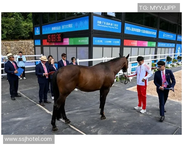 “馆”通湾区丨全运会马术赛场冷艳出圈 世界水准实力拉满